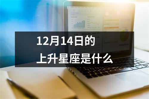 12月14日的上升星座是什么