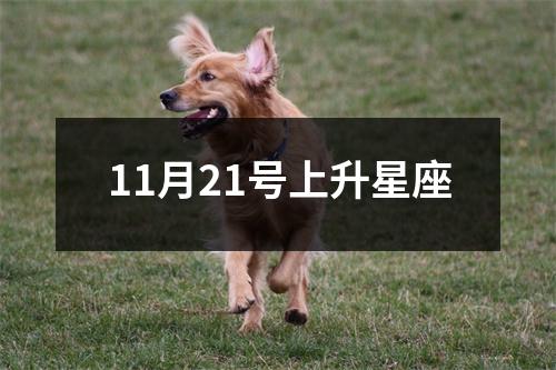 11月21号上升星座