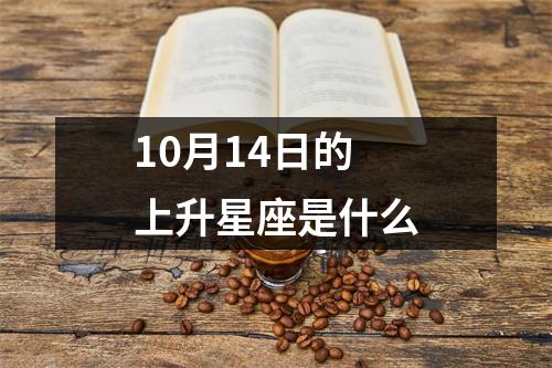 10月14日的上升星座是什么