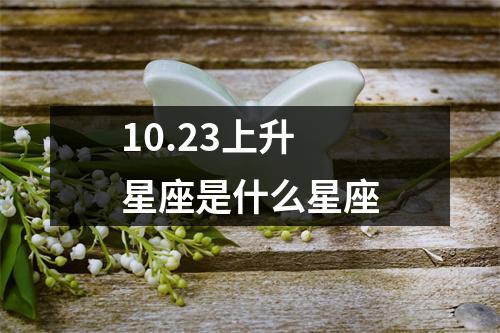 10.23上升星座是什么星座