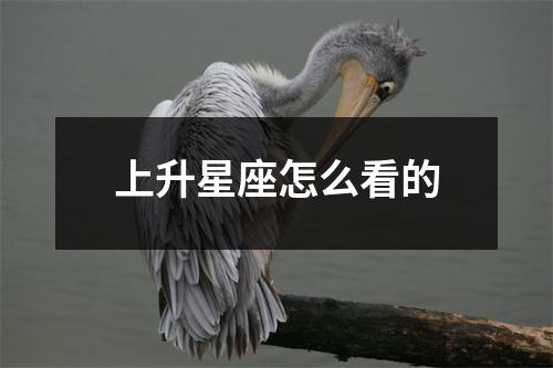 上升星座怎么看的