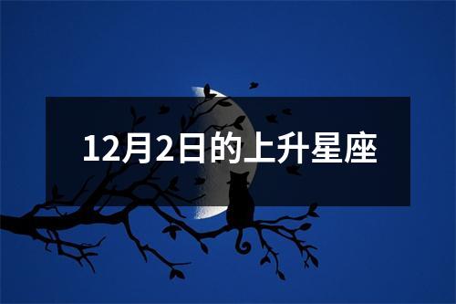 12月2日的上升星座