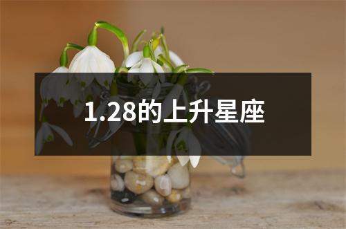 1.28的上升星座