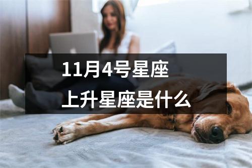 11月4号星座上升星座是什么