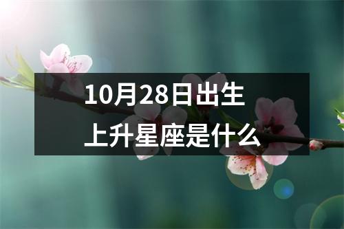 10月28日出生上升星座是什么