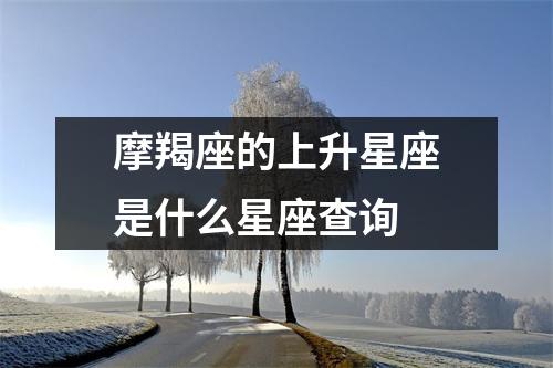 摩羯座的上升星座是什么星座查询