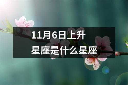 11月6日上升星座是什么星座