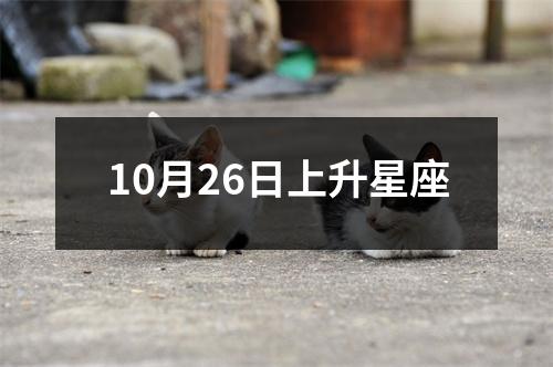 10月26日上升星座