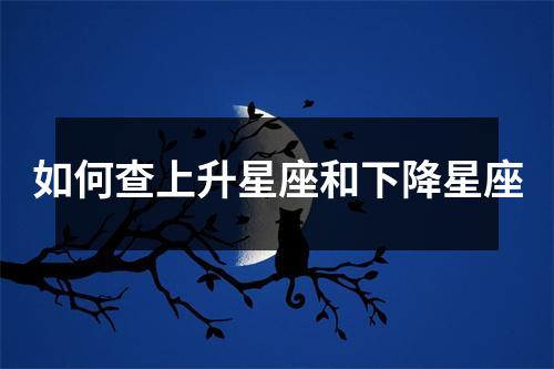 如何查上升星座和下降星座