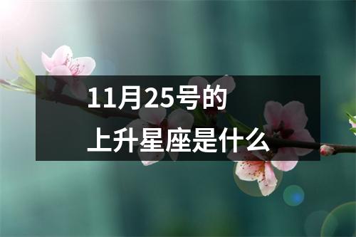 11月25号的上升星座是什么