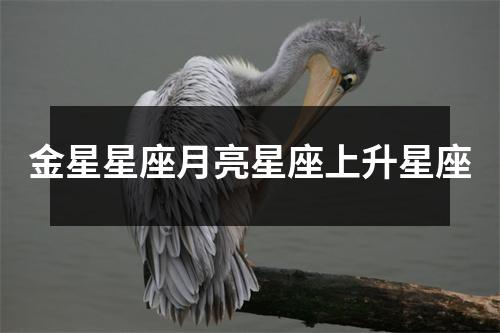 金星星座月亮星座上升星座