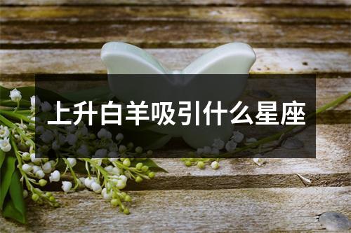 上升白羊吸引什么星座