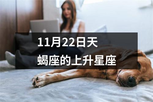 11月22日天蝎座的上升星座