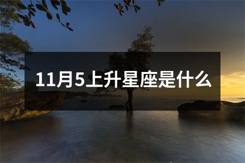 11月5上升星座是什么