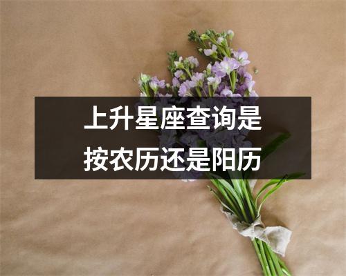 上升星座查询是按农历还是阳历