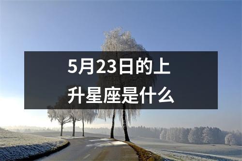 5月23日的上升星座是什么