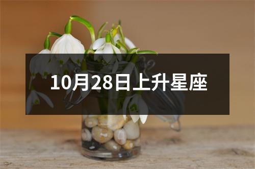 10月28日上升星座