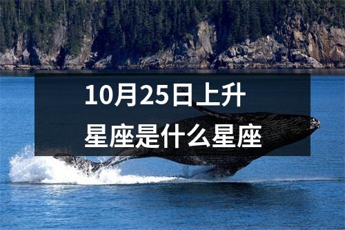 10月25日上升星座是什么星座