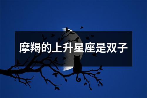 摩羯的上升星座是双子