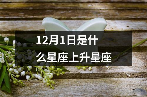 12月1日是什么星座上升星座