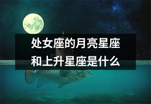 处女座的月亮星座和上升星座是什么