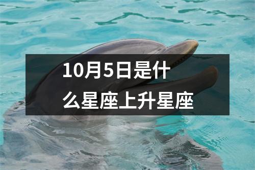 10月5日是什么星座上升星座