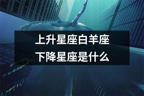 上升星座白羊座下降星座是什么