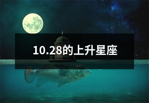 10.28的上升星座