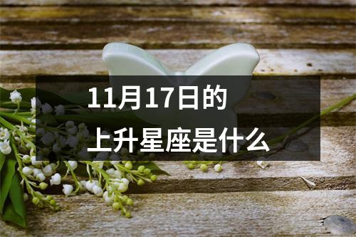 11月17日的上升星座是什么