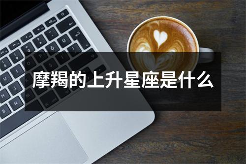 摩羯的上升星座是什么