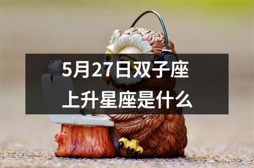 5月27日双子座上升星座是什么