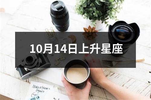 10月14日上升星座