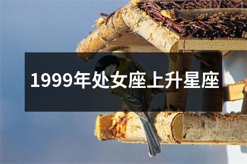 1999年处女座上升星座