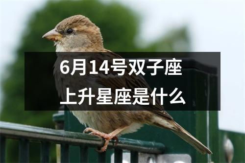 6月14号双子座上升星座是什么