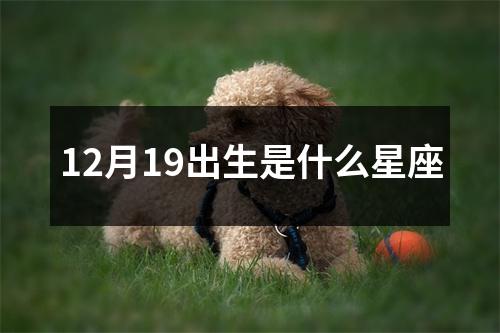 12月19出生是什么星座