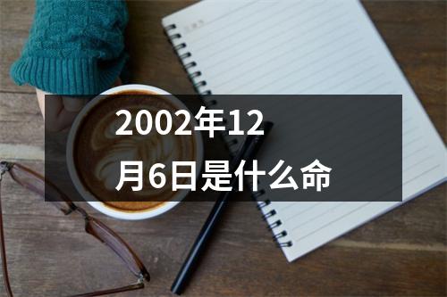 2002年12月6日是什么命