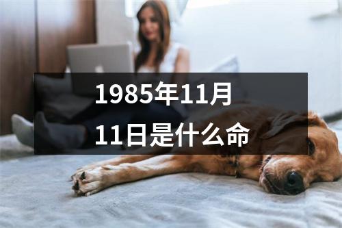 1985年11月11日是什么命