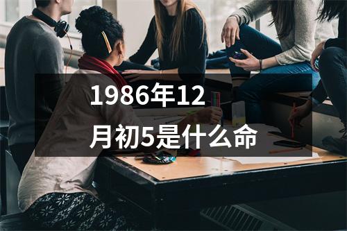 1986年12月初5是什么命