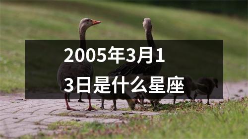 2005年3月13日是什么星座