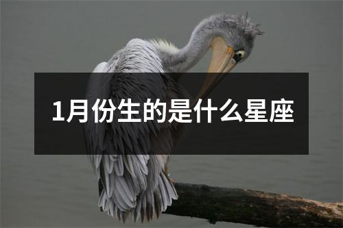 1月份生的是什么星座