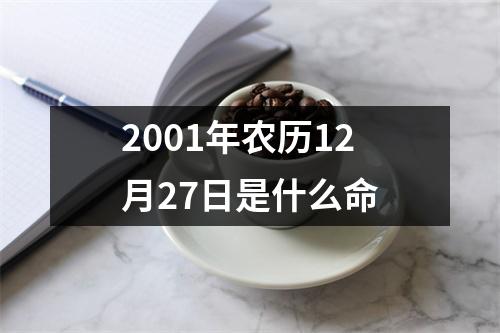 2001年农历12月27日是什么命