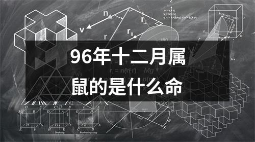 96年十二月属鼠的是什么命