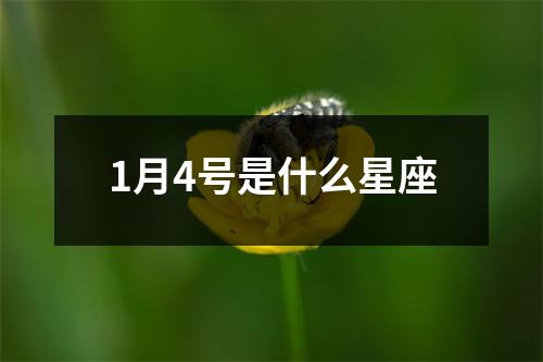 1月4号是什么星座