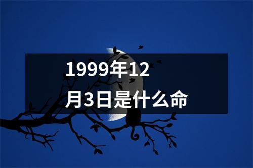 1999年12月3日是什么命