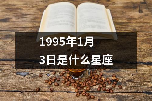 1995年1月3日是什么星座