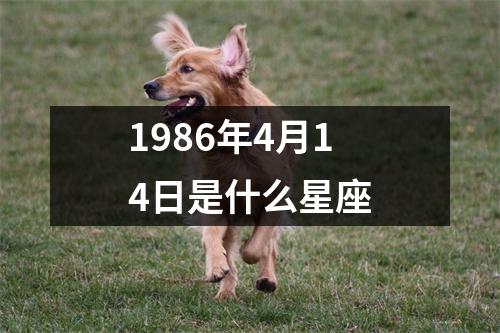 1986年4月14日是什么星座