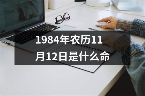 1984年农历11月12日是什么命