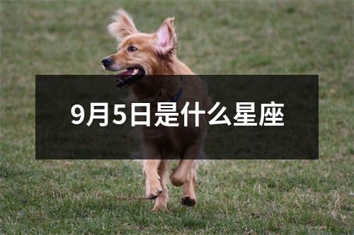 9月5日是什么星座