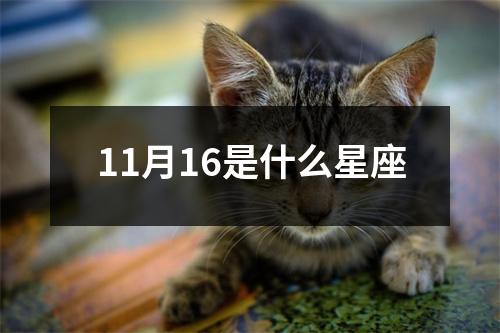 11月16是什么星座