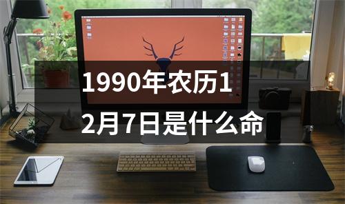 1990年农历12月7日是什么命